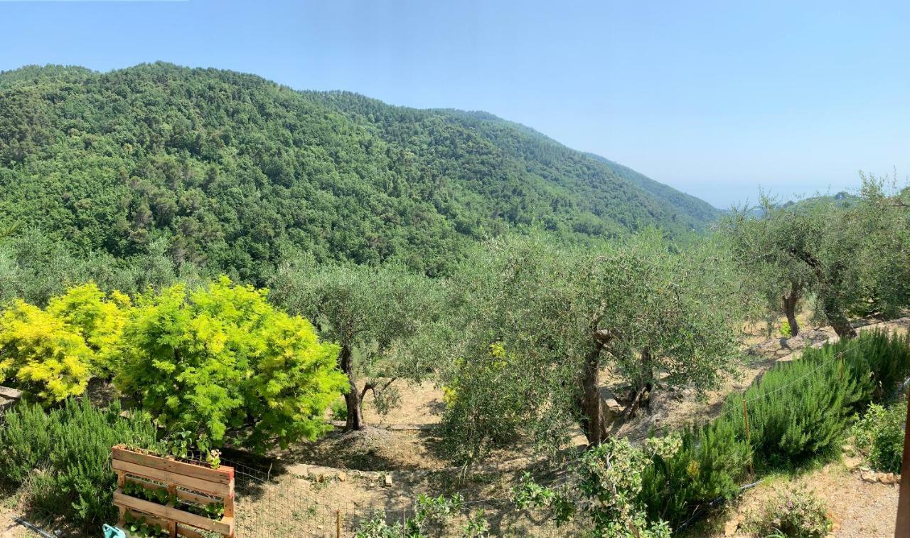 شقة La Porta Del Sole سيبورجا المظهر الخارجي الصورة